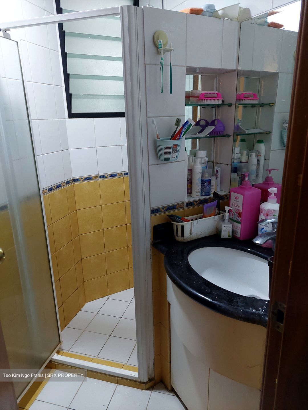 Central Grove (D14), Condominium #506349171